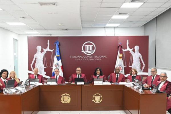 Apoderan al TC de acción contra artículos del Código Penal por amenazar libertad de expresión
