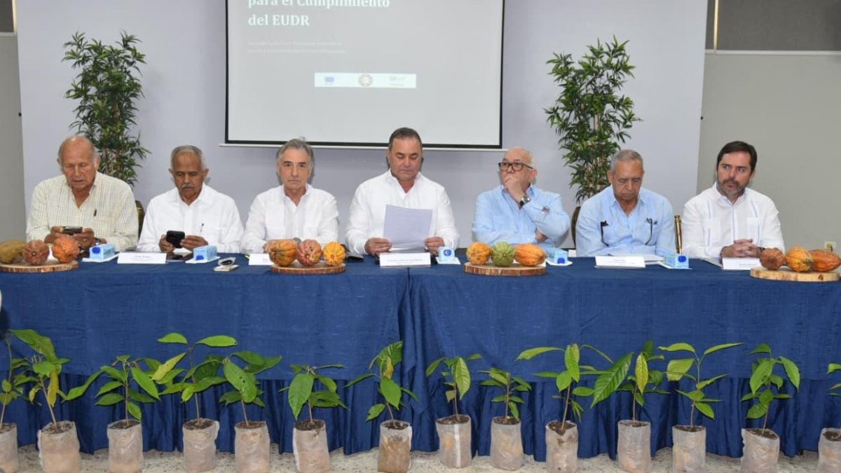 Cacao de República Dominicana ocupa posición privilegiada en mercados