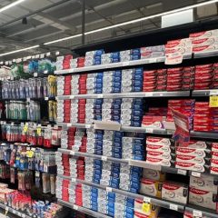 ¿Qué gasta una familia fuera del consumo normal y cómo vive su día a día un hombre solo?