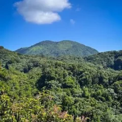 Parques Nacionales