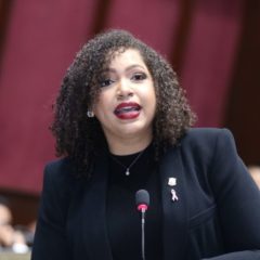 Diputada alerta sobre pagar dos veces por enfermedad