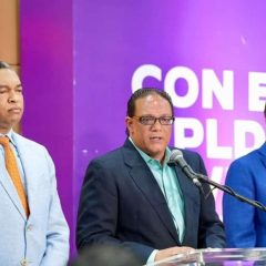 PLD acelera preparativos para su consulta interna
