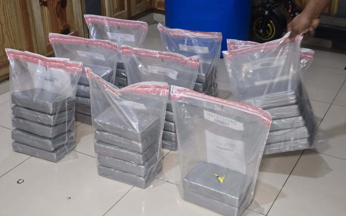 DNCD incauta 42 paquetes de presunta coca&iacute;na en puerto Caucedo con destino a Francia
