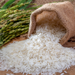 Aseguran eliminación de aranceles al arroz afectará a 30 mil productores y 300 mil empleos
