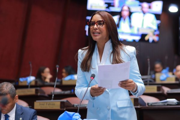 Exigen al MINERD informe sobre planteles pendientes y resultados de su plataforma digital