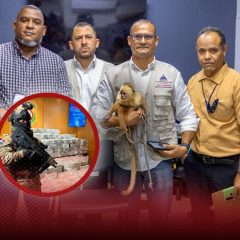 El mononarco que iba en lancha ocupada por DNCD con carga de cocaína fue enviado a Medio Ambiente